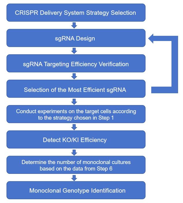 微信截圖_20240222144019 微信截圖_20240222144019