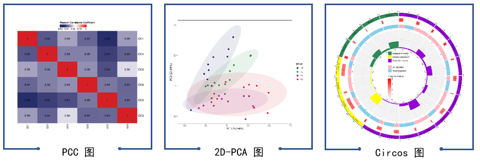 14b6ccc3-ec40-4f83-a675-3b46c008a302