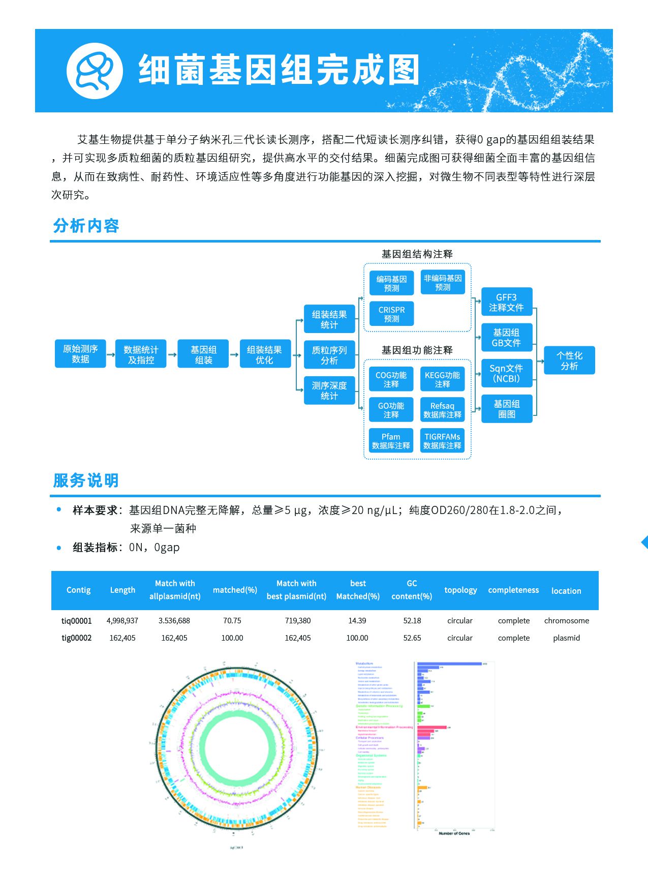 5.細菌基因組完成圖